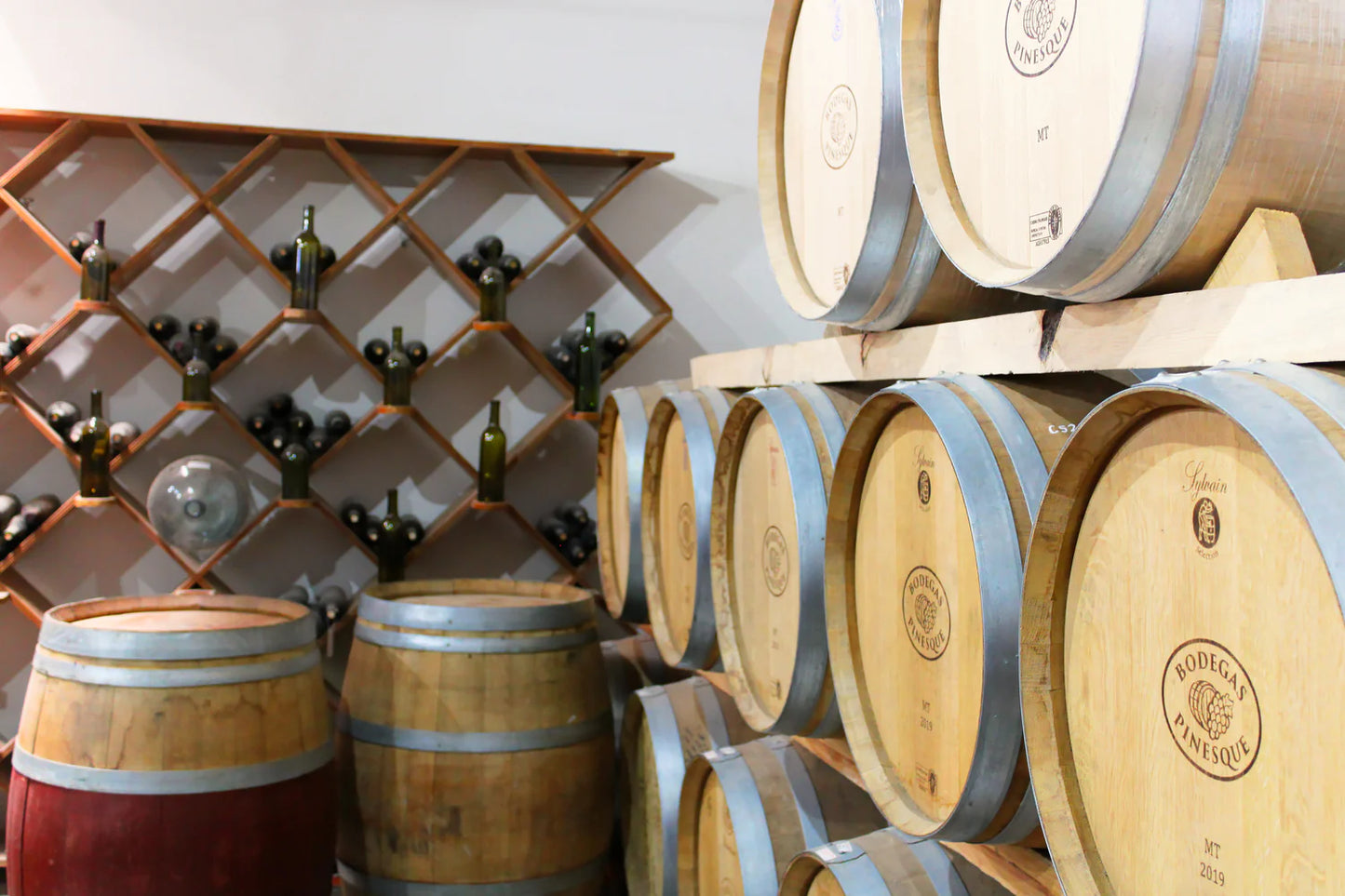 Recorrido + 3 vinos + Maridaje