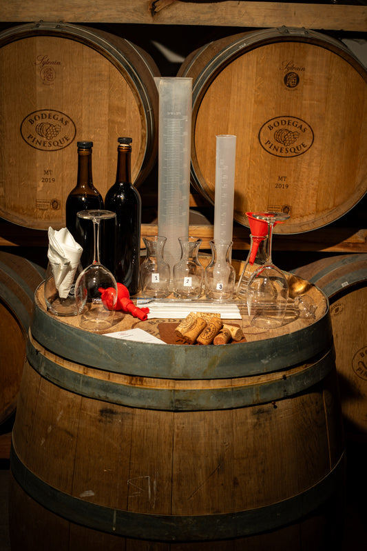 Taller Enológico: Embotella tu vino